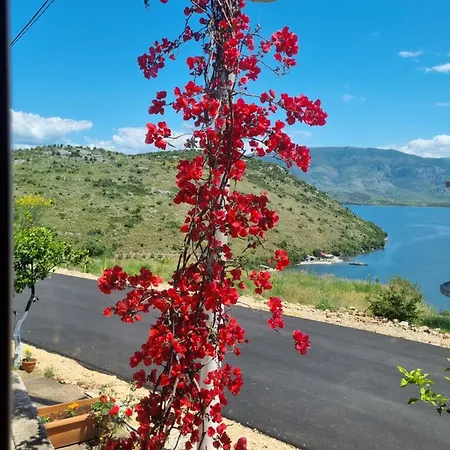 Besnik Brahimi * كساميل