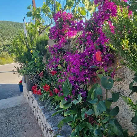 شقة Besnik Brahimi *