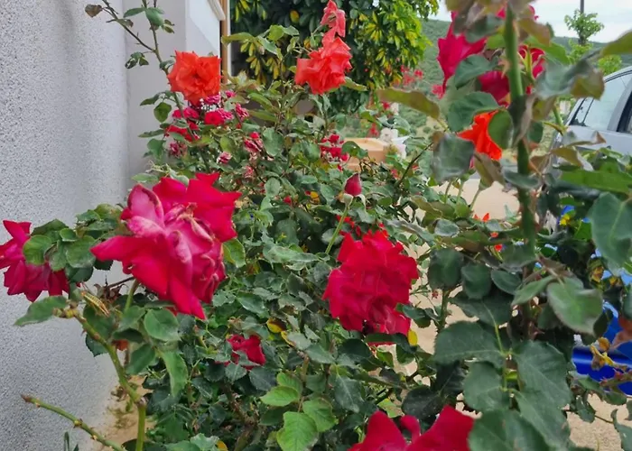 Besnik Brahimi * Ksamil