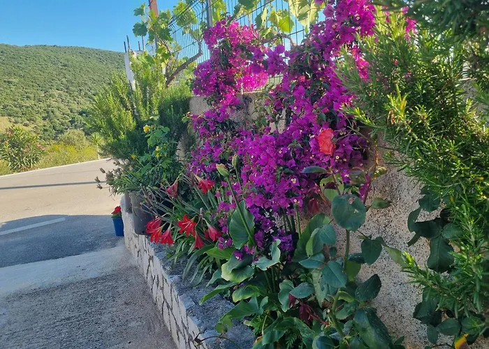 Apartment Besnik Brahimi *